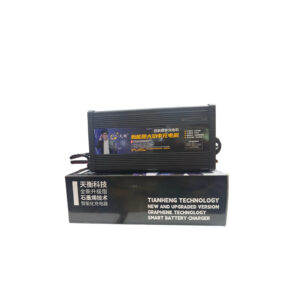 Thineng Tech battery Charger